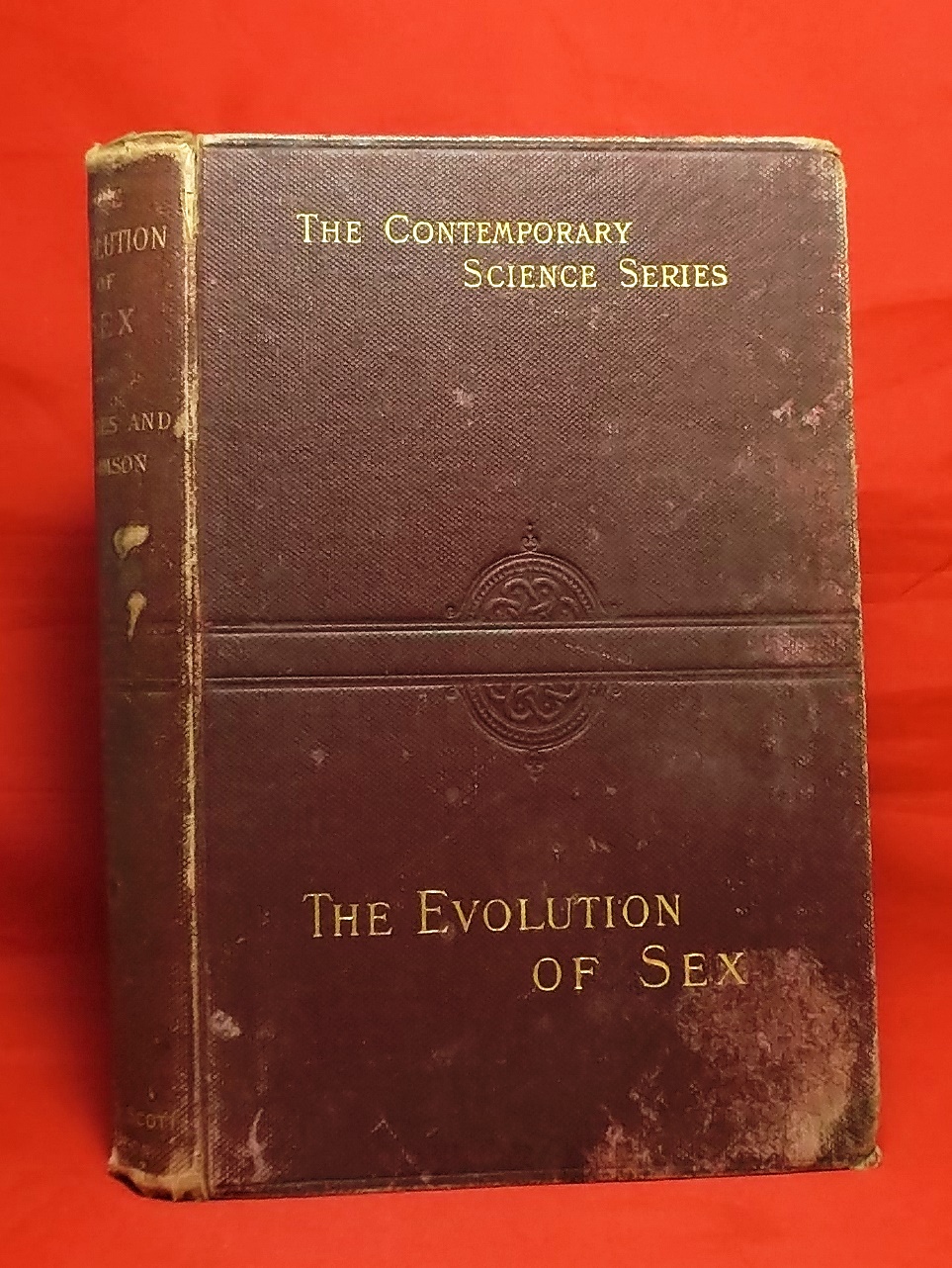 The Evolution Of Sex